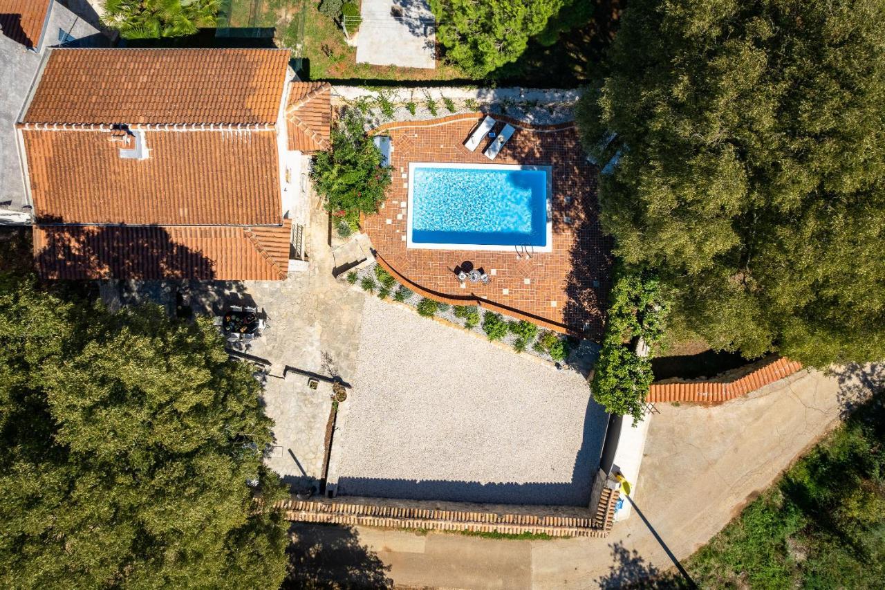 Villa Arboretum Poreč Exteriör bild